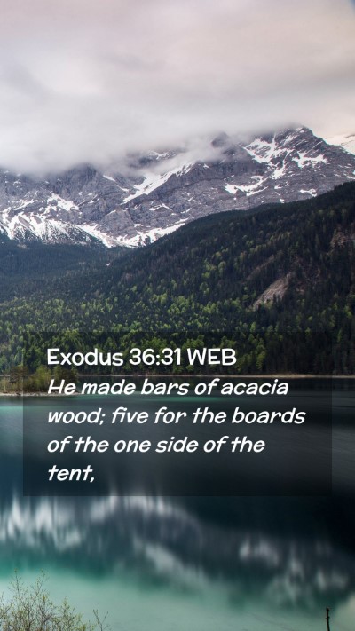 Picture 02 - Exodus 36:31 WEB Mobile Phone Wallpaper - He made bars of acacia wood; five for the boards - Mobile Bible Verse Wallpaper