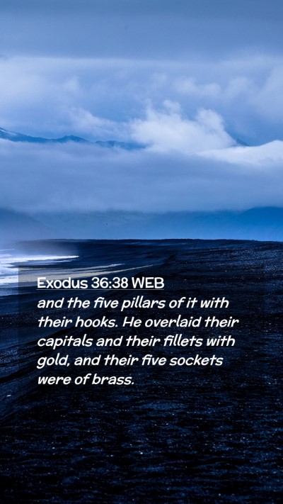 Picture 02 - Exodus 36:38 WEB Mobile Phone Wallpaper - and the five pillars of it with their hooks. He - Mobile Bible Verse Wallpaper