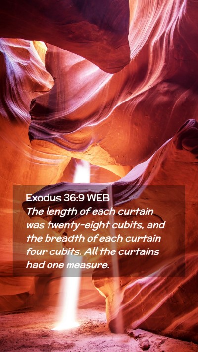 Picture 02 - Exodus 36:9 WEB Mobile Phone Wallpaper - The length of each curtain was twenty-eight - Mobile Bible Verse Wallpaper
