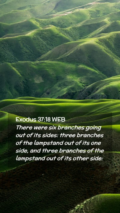 Picture 02 - Exodus 37:18 WEB Mobile Phone Wallpaper - There were six branches going out of its sides: - Mobile Bible Verse Wallpaper