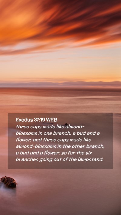 Picture 02 - Exodus 37:19 WEB Mobile Phone Wallpaper - three cups made like almond-blossoms in one - Mobile Bible Verse Wallpaper