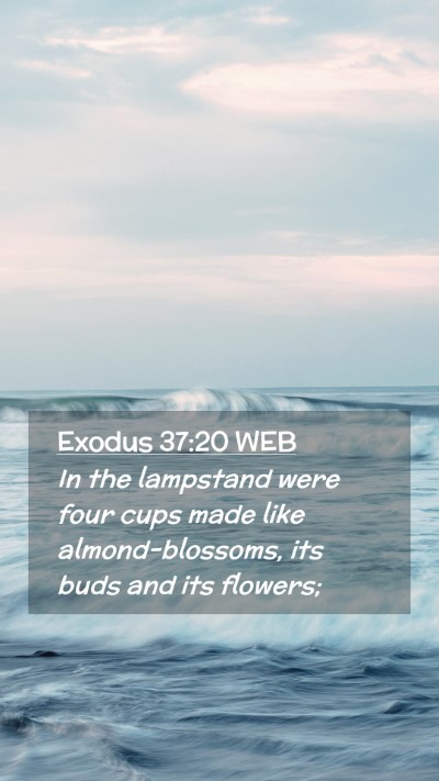 Picture 02 - Exodus 37:20 WEB Mobile Phone Wallpaper - In the lampstand were four cups made like - Mobile Bible Verse Wallpaper