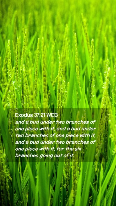 Picture 02 - Exodus 37:21 WEB Mobile Phone Wallpaper - and a bud under two branches of one piece with - Mobile Bible Verse Wallpaper