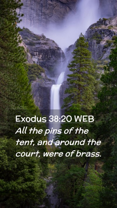 Picture 02 - Exodus 38:20 WEB Mobile Phone Wallpaper - All the pins of the tent, and around the court, - Mobile Bible Verse Wallpaper