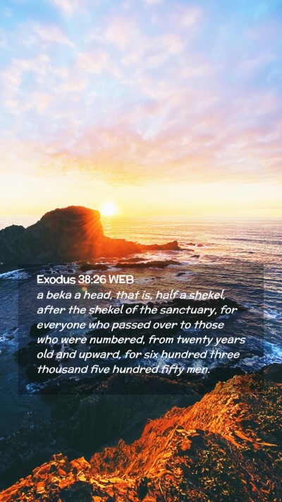 Picture 02 - Exodus 38:26 WEB Mobile Phone Wallpaper - a beka a head, that is, half a shekel, after the - Mobile Bible Verse Wallpaper