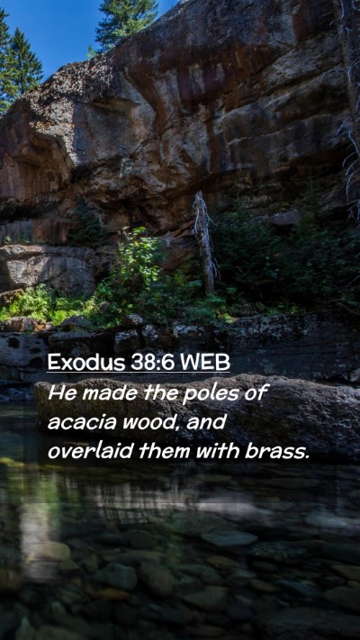 Picture 02 - Exodus 38:6 WEB Mobile Phone Wallpaper - He made the poles of acacia wood, and overlaid - Mobile Bible Verse Wallpaper