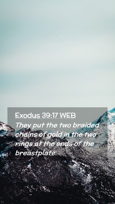 Picture 02 - Exodus 39:17 WEB Mobile Phone Wallpaper - They put the two braided chains of gold in the - Mobile Bible Verse Wallpaper