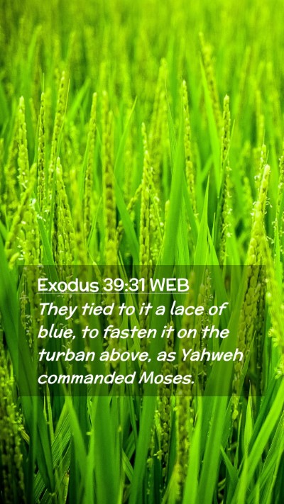 Picture 02 - Exodus 39:31 WEB Mobile Phone Wallpaper - They tied to it a lace of blue, to fasten it on - Mobile Bible Verse Wallpaper