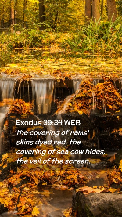 Picture 02 - Exodus 39:34 WEB Mobile Phone Wallpaper - the covering of rams' skins dyed red, the - Mobile Bible Verse Wallpaper