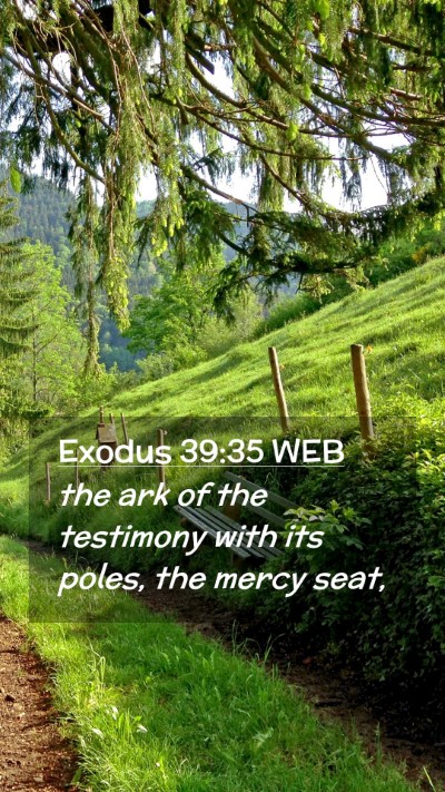 Picture 02 - Exodus 39:35 WEB Mobile Phone Wallpaper - the ark of the testimony with its poles, the - Mobile Bible Verse Wallpaper