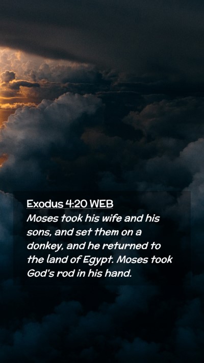 Picture 02 - Exodus 4:20 WEB Mobile Phone Wallpaper - Moses took his wife and his sons, and set them on - Mobile Bible Verse Wallpaper