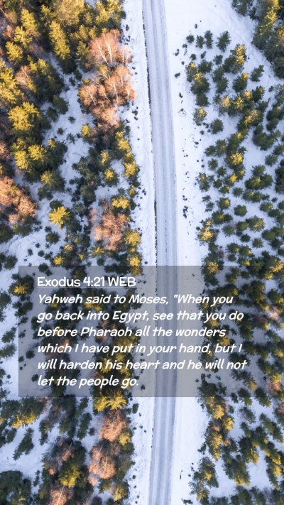Picture 02 - Exodus 4:21 WEB Mobile Phone Wallpaper - Yahweh said to Moses, 