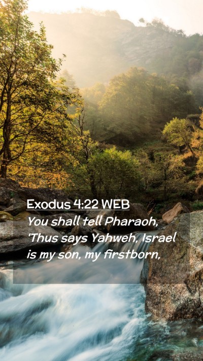 Picture 02 - Exodus 4:22 WEB Mobile Phone Wallpaper - You shall tell Pharaoh, 'Thus says Yahweh, Israel - Mobile Bible Verse Wallpaper