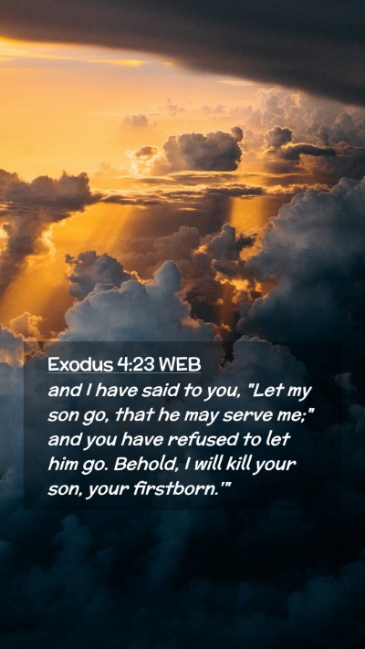 Picture 02 - Exodus 4:23 WEB Mobile Phone Wallpaper - and I have said to you, 