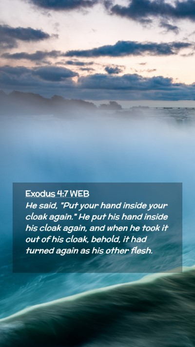 Picture 02 - Exodus 4:7 WEB Mobile Phone Wallpaper - He said, 