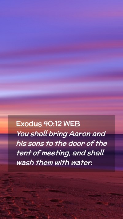 Picture 02 - Exodus 40:12 WEB Mobile Phone Wallpaper - You shall bring Aaron and his sons to the door of - Mobile Bible Verse Wallpaper