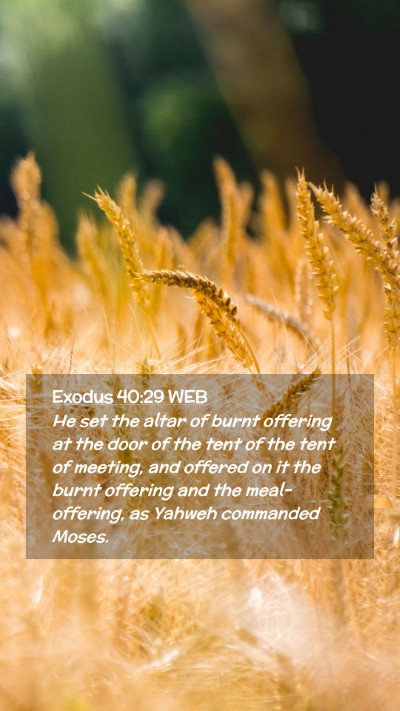 Picture 02 - Exodus 40:29 WEB Mobile Phone Wallpaper - He set the altar of burnt offering at the door of - Mobile Bible Verse Wallpaper