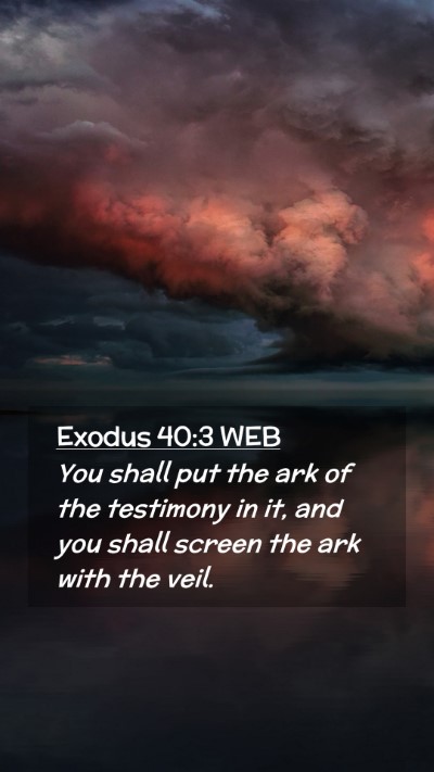 Picture 02 - Exodus 40:3 WEB Mobile Phone Wallpaper - You shall put the ark of the testimony in it, and - Mobile Bible Verse Wallpaper