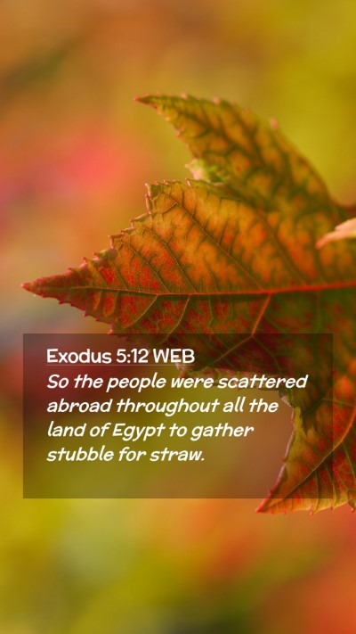 Picture 02 - Exodus 5:12 WEB Mobile Phone Wallpaper - So the people were scattered abroad throughout - Mobile Bible Verse Wallpaper