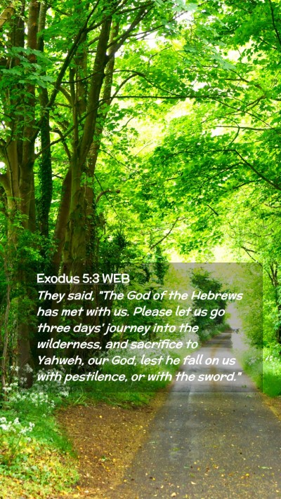 Picture 02 - Exodus 5:3 WEB Mobile Phone Wallpaper - They said, 