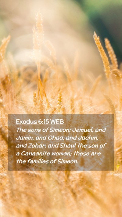 Picture 02 - Exodus 6:15 WEB Mobile Phone Wallpaper - The sons of Simeon: Jemuel, and Jamin, and Ohad, - Mobile Bible Verse Wallpaper