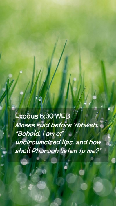 Picture 02 - Exodus 6:30 WEB Mobile Phone Wallpaper - Moses said before Yahweh, 