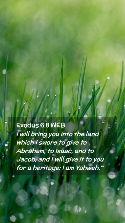 Picture 02 - Exodus 6:8 WEB Mobile Phone Wallpaper - I will bring you into the land which I swore to - Mobile Bible Verse Wallpaper