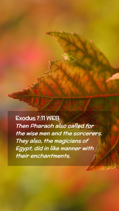 Picture 02 - Exodus 7:11 WEB Mobile Phone Wallpaper - Then Pharaoh also called for the wise men and the - Mobile Bible Verse Wallpaper