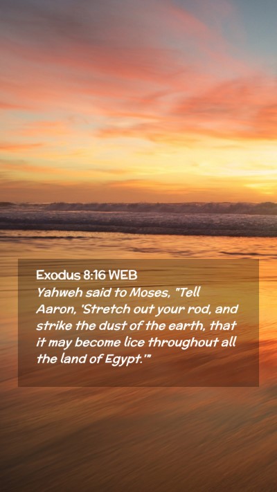 Picture 02 - Exodus 8:16 WEB Mobile Phone Wallpaper - Yahweh said to Moses, 