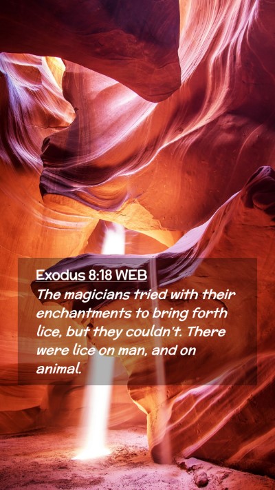 Picture 02 - Exodus 8:18 WEB Mobile Phone Wallpaper - The magicians tried with their enchantments to - Mobile Bible Verse Wallpaper
