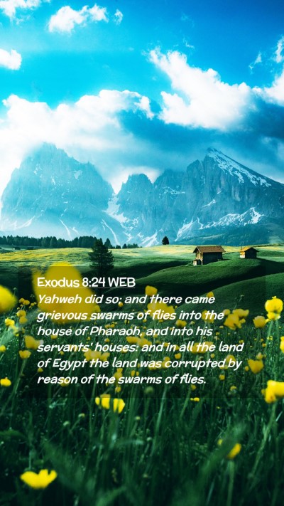 Picture 02 - Exodus 8:24 WEB Mobile Phone Wallpaper - Yahweh did so; and there came grievous swarms of - Mobile Bible Verse Wallpaper