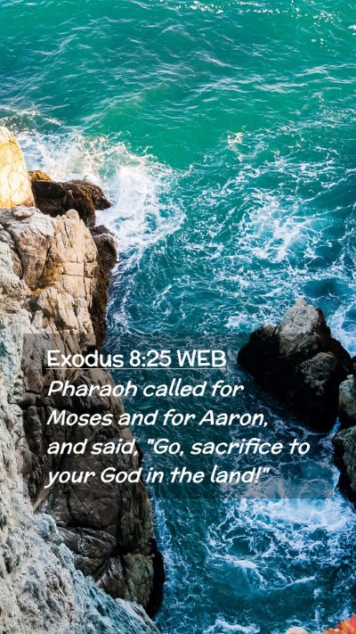 Picture 02 - Exodus 8:25 WEB Mobile Phone Wallpaper - Pharaoh called for Moses and for Aaron, and said, - Mobile Bible Verse Wallpaper