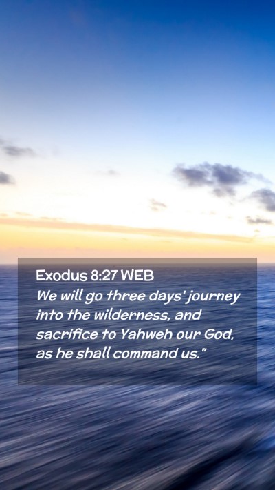 Picture 02 - Exodus 8:27 WEB Mobile Phone Wallpaper - We will go three days' journey into the - Mobile Bible Verse Wallpaper