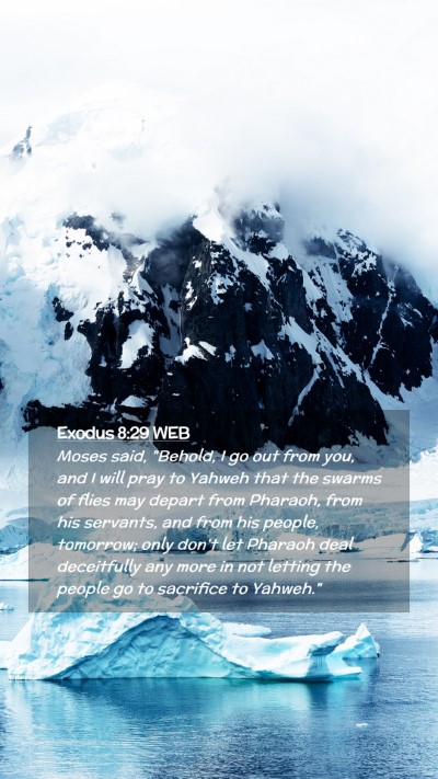Picture 02 - Exodus 8:29 WEB Mobile Phone Wallpaper - Moses said, 