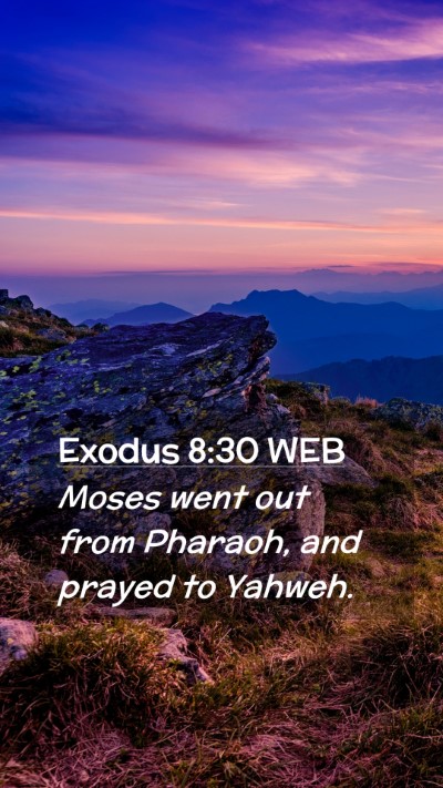 Picture 02 - Exodus 8:30 WEB Mobile Phone Wallpaper - Moses went out from Pharaoh, and prayed to - Mobile Bible Verse Wallpaper