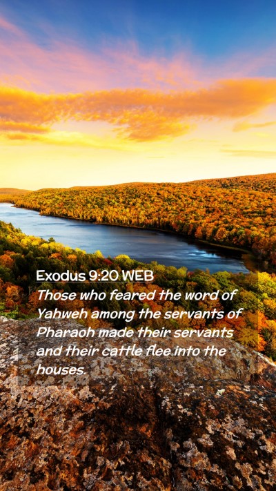 Picture 02 - Exodus 9:20 WEB Mobile Phone Wallpaper - Those who feared the word of Yahweh among the - Mobile Bible Verse Wallpaper