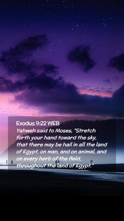 Picture 02 - Exodus 9:22 WEB Mobile Phone Wallpaper - Yahweh said to Moses, 