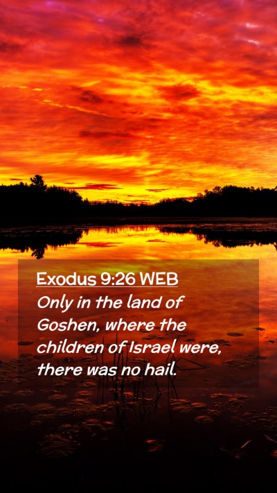 Picture 02 - Exodus 9:26 WEB Mobile Phone Wallpaper - Only in the land of Goshen, where the children of - Mobile Bible Verse Wallpaper