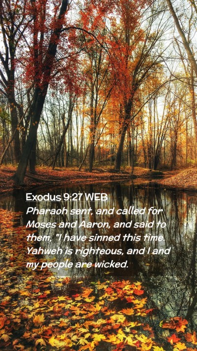 Picture 02 - Exodus 9:27 WEB Mobile Phone Wallpaper - Pharaoh sent, and called for Moses and Aaron, and - Mobile Bible Verse Wallpaper