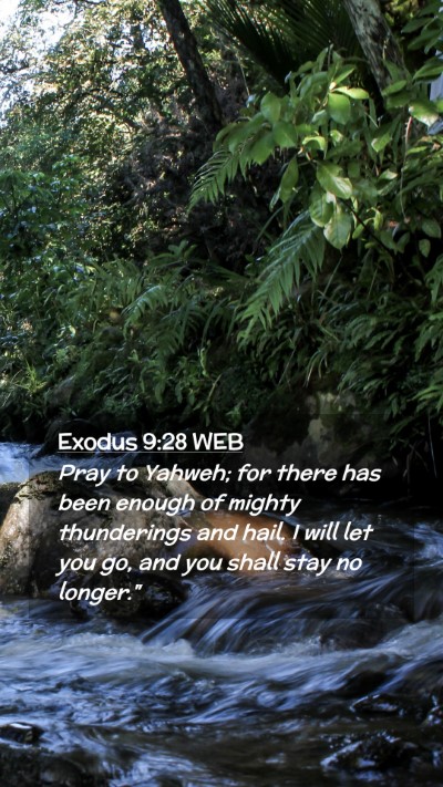 Picture 02 - Exodus 9:28 WEB Mobile Phone Wallpaper - Pray to Yahweh; for there has been enough of - Mobile Bible Verse Wallpaper