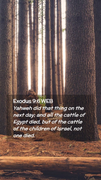 Picture 02 - Exodus 9:6 WEB Mobile Phone Wallpaper - Yahweh did that thing on the next day; and all - Mobile Bible Verse Wallpaper
