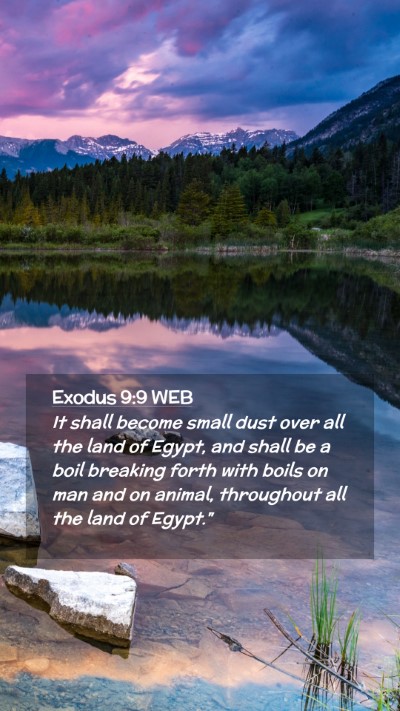Picture 02 - Exodus 9:9 WEB Mobile Phone Wallpaper - It shall become small dust over all the land of - Mobile Bible Verse Wallpaper