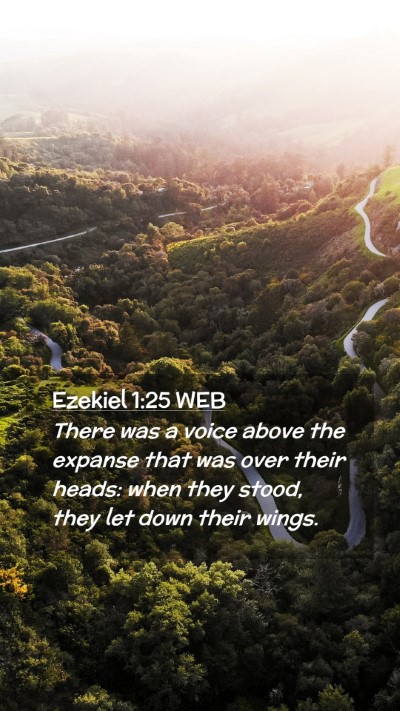 Picture 02 - Ezekiel 1:25 WEB Mobile Phone Wallpaper - There was a voice above the expanse that was over - Mobile Bible Verse Wallpaper