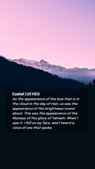 Picture 02 - Ezekiel 1:28 WEB Mobile Phone Wallpaper - As the appearance of the bow that is in the cloud - Mobile Bible Verse Wallpaper