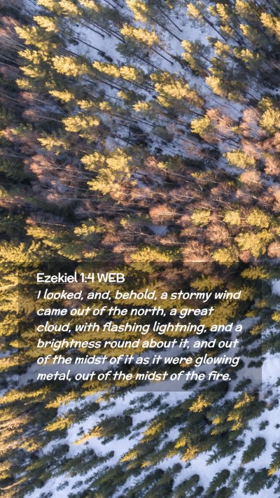 Picture 02 - Ezekiel 1:4 WEB Mobile Phone Wallpaper - I looked, and, behold, a stormy wind came out of - Mobile Bible Verse Wallpaper
