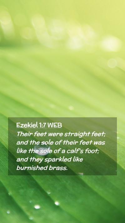 Picture 02 - Ezekiel 1:7 WEB Mobile Phone Wallpaper - Their feet were straight feet; and the sole of - Mobile Bible Verse Wallpaper