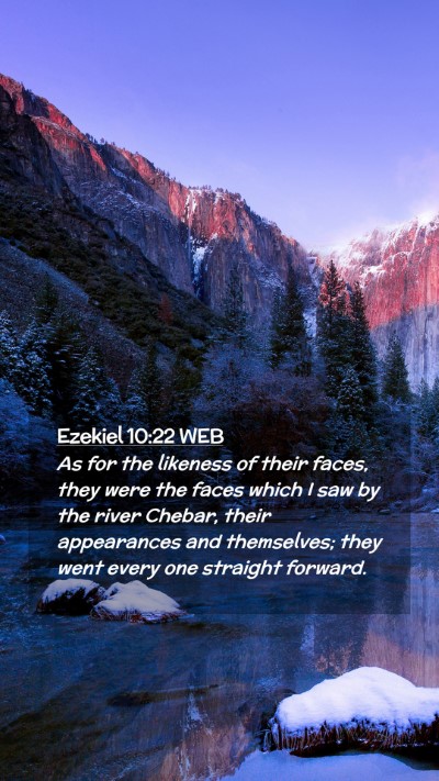 Picture 02 - Ezekiel 10:22 WEB Mobile Phone Wallpaper - As for the likeness of their faces, they were the - Mobile Bible Verse Wallpaper