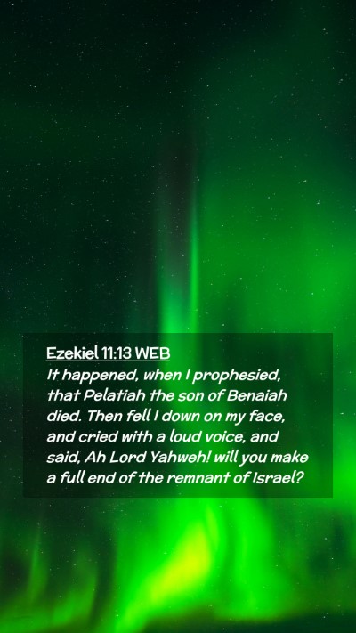 Picture 02 - Ezekiel 11:13 WEB Mobile Phone Wallpaper - It happened, when I prophesied, that Pelatiah the - Mobile Bible Verse Wallpaper