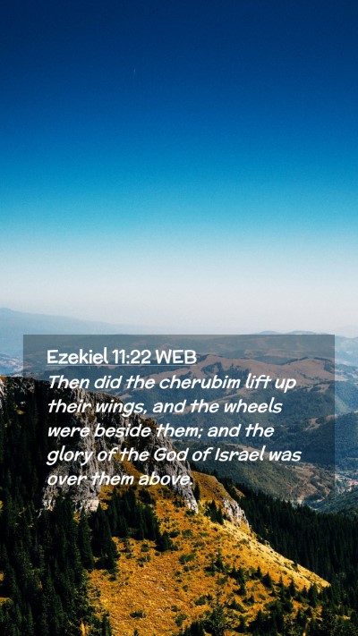 Picture 02 - Ezekiel 11:22 WEB Mobile Phone Wallpaper - Then did the cherubim lift up their wings, and - Mobile Bible Verse Wallpaper
