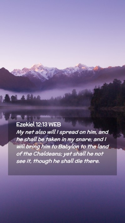 Picture 02 - Ezekiel 12:13 WEB Mobile Phone Wallpaper - My net also will I spread on him, and he shall be - Mobile Bible Verse Wallpaper
